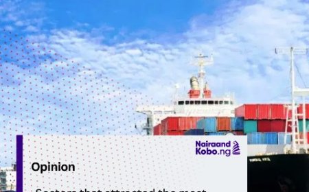 Sectors that attracted the most foreign investment in Nigeria 2024 Q2