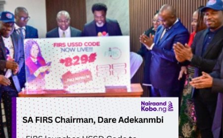 FIRS launches USSD Code to simplify taxpayer services
