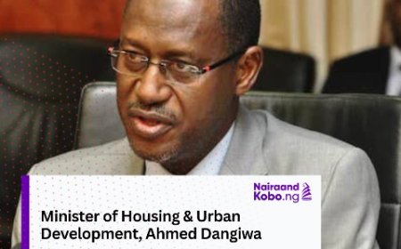FG Flags Off 10,000 Housing Units In Enugu State