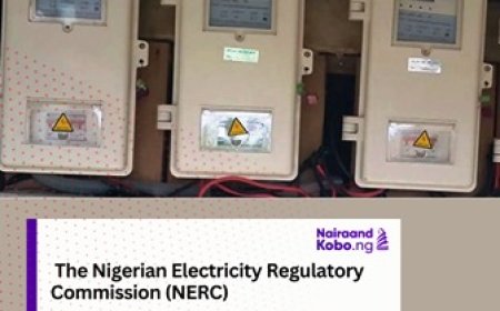 DISCOs’ meter installation rate dips 60.8%