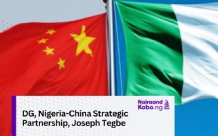 ‘Robust partnerships between Nigeria, China’