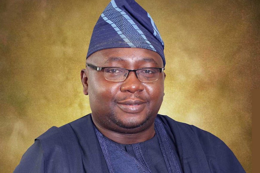 Adelabu: Over 40% of Nigerians now enjoy 20 hours of daily electricity supply