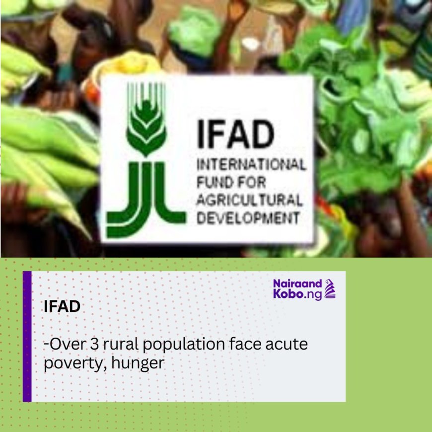 Over 3 rural population face acute poverty, hunger -IFAD