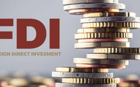 Nigeria yet to be major source of FDI, remittance in Sub-Saharan Africa – World Bank