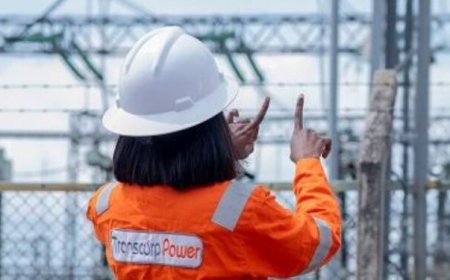 Transcorp Power posts 115% pre-tax profit growth, revenue surges to N306 billion for the FY 2024