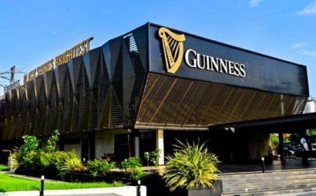 Guinness Nigeria records 82.2% revenue growth in H1’25