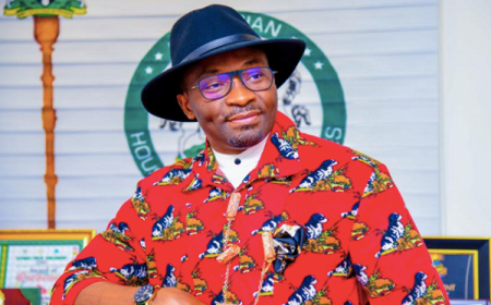 Tax Reform Bills aimed at driving revenue, investments, says Kalu