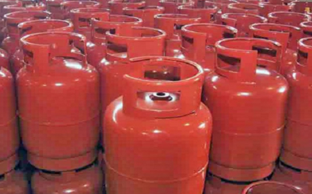 Price of cooking gas rose by 44.6% in one year – Report