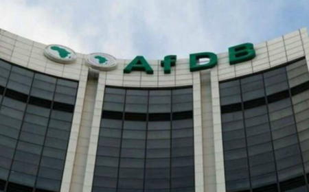 AfDB launches initiative to combat hazardous chemicals in 11 African countries