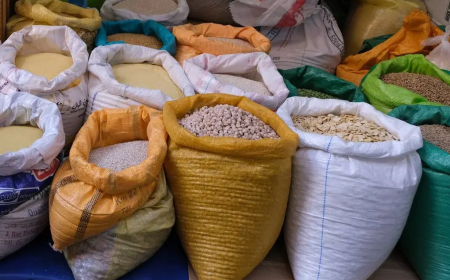 Average food prices rise to N2,920.13 in December 2024, marking 91.6% YoY Increase – NBS