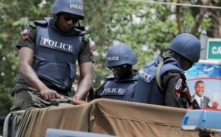 Delta Woman Accuses Police Officers Of Extorting N2.1Million ‘Tracking’ And ‘Movement’ Fees To Recover Two Stolen Vehicles