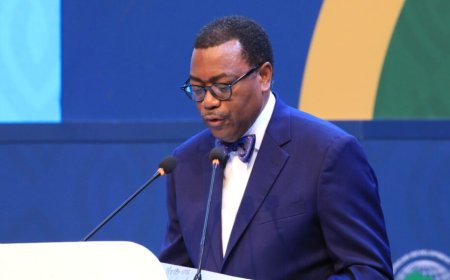 600,000 African women, children die yearly due to lack of access to clean cooking – Adesina