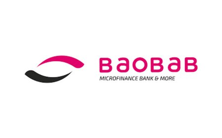 Baobab supports SMEs with over N323bn loans