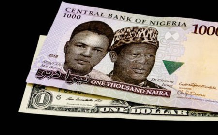 BDCs explain why Naira will be strong in 2025
