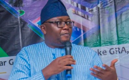 FG unveils $23bn programme to tackle power crisis