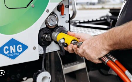 FG eyes 150 CNG stations in 2025 31st January 2025