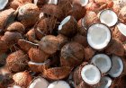 Lagos eyes $102m global coconut yogurt market