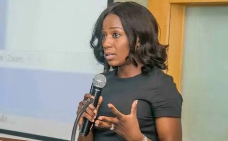 Expect Another Electricity Tariff Hike Within Months – Presidential Aide