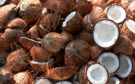 Lagos eyes $102m global coconut yogurt market
