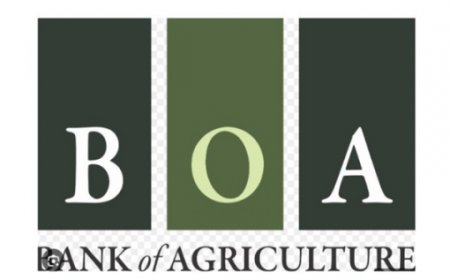 Fed Govt to restructure, recapitalise Bank of Agriculture