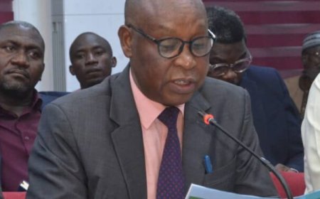 Nigeria needs $20 billion annual investment to bridge gap in gas infrastructure – NEITI CEO