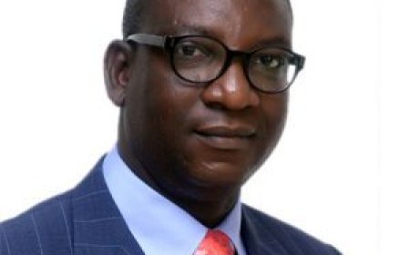 ‘Real estate grew by 46% in 2024’
