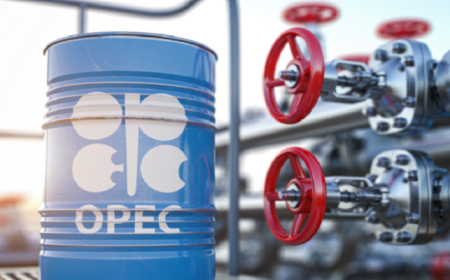 OPEC+ plans new supply surge as Nigeria braces for oil price, revenue volatility