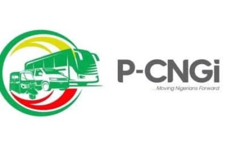 FG attracts $791.49m CNG investments in two months – Report
