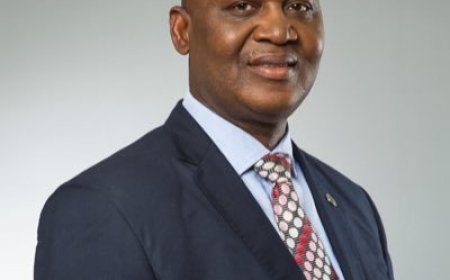 AfDB commits $1.2m grant to support national grid stability