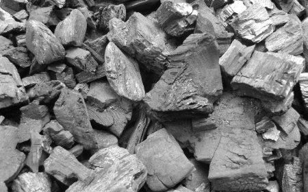Framework on charcoal, forest governance coming