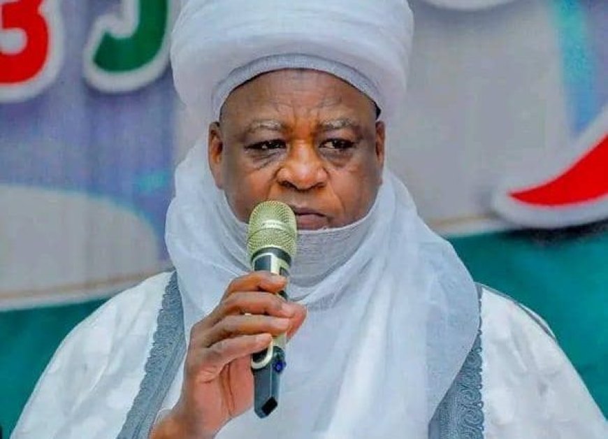 Middle Belt Forum Rejects Permanent Co-Chair For Sultan In Traditional Rulers’ Council
