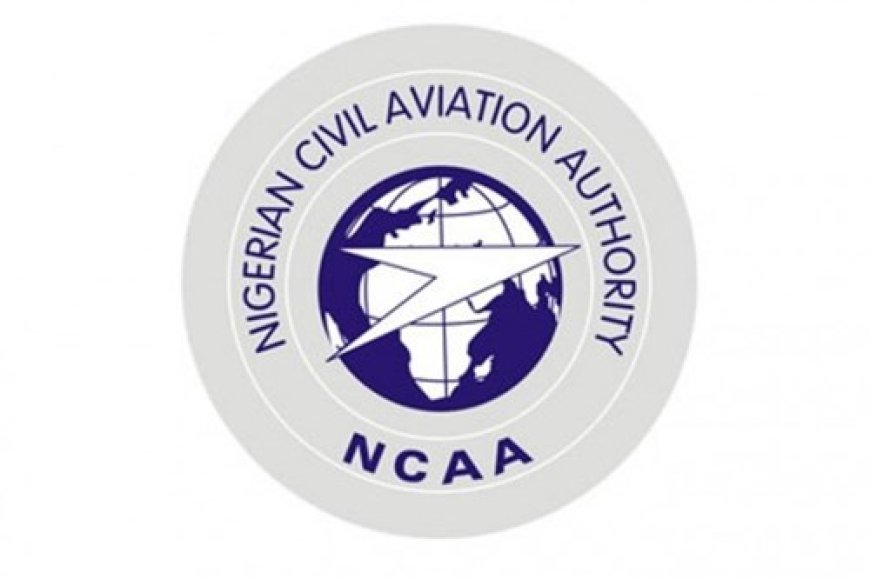 Pay compensation for delayed baggage, NCAA orders airlines