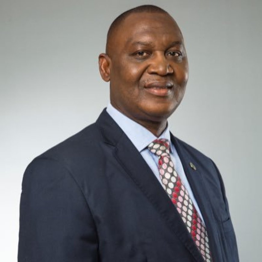AfDB commits $1.2m grant to support national grid stability