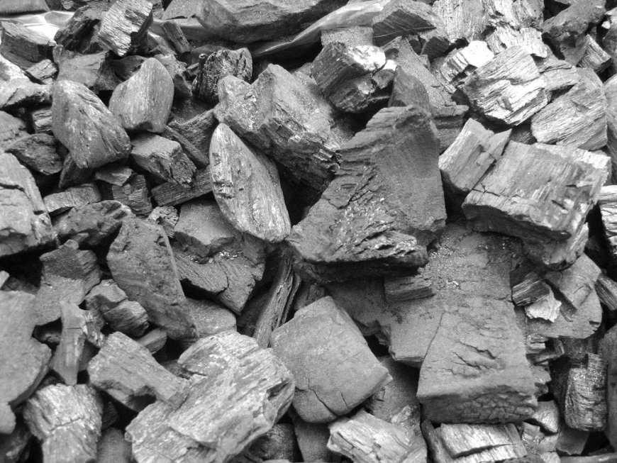 Framework on charcoal, forest governance coming