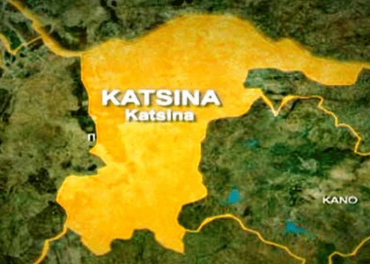 Katsina Gov’t Begins Free Treatment Of Typhoid For Residents