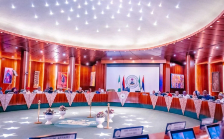 FEC approves N68.7bn for power projects in universities, rural communities