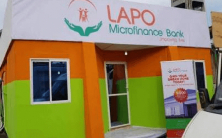 LAPO disburses N18.6b to farmers