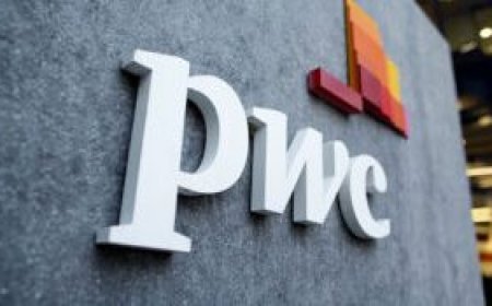 Solar import ban may hinder energy access – PWC