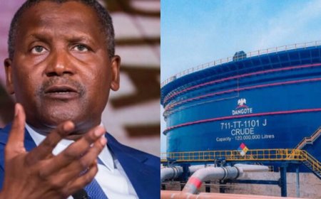Dangote Refinery Appoints David Bird As CEO