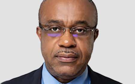 United Capital Appoints Uche Ike As New Chairman