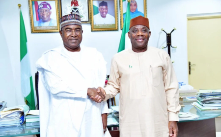 FG to introduce compulsory drug testing for undergraduates