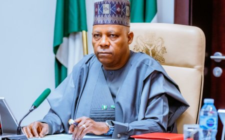 SAPZ will drive industrial revolution in agric sector – Shettima