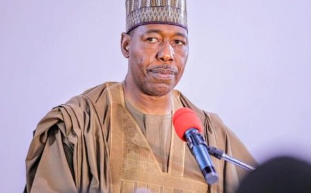 Borno Government to open 400-bed hospital in September, targets medical tourism and job creation