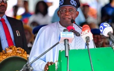 Tinubu Names Ramat As NERC Chair, Appoints 2 Commissioners