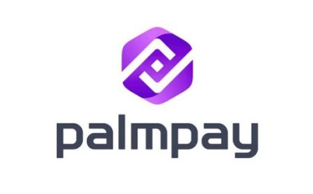 PalmPay, Fed Govt partner on data protection awareness