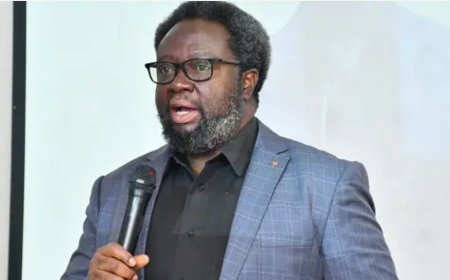 RMRDC advocates 60% cut in raw material imports