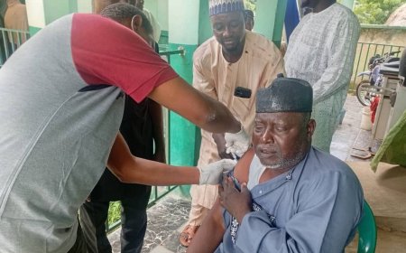 Hepatitis: 125 test positive, over 1,096 vaccinated in Bauchi