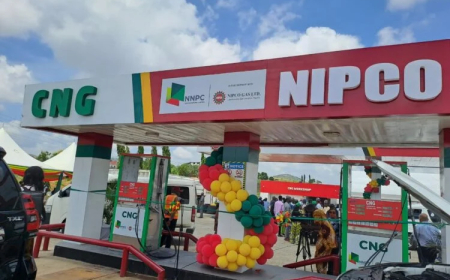 NIPCO Seeks To Sustain Downstream Oil Sector Investment