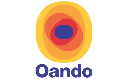 Meet Oando’s new company secretary and Chief Compliance Officer, Folasade Ibidapo-Obe