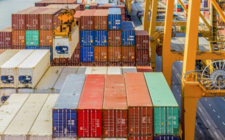 Nigeria records 663 million metric tonnes in exports to ECOWAS in H1 2025 — NEPC